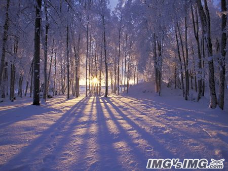 winter snow sunset alaska 