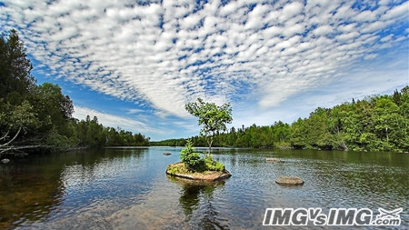 trees water island rock cloud sky 