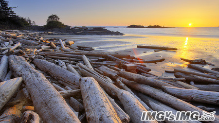 dust dawn sun driftwood beach 