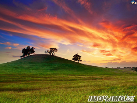 dust dawn cloud sky meadow 